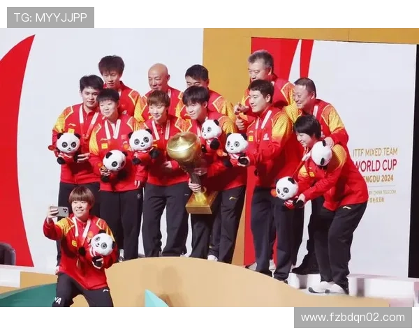 杭州排球队的拼搏之路：世界杯背后的奋斗与荣耀